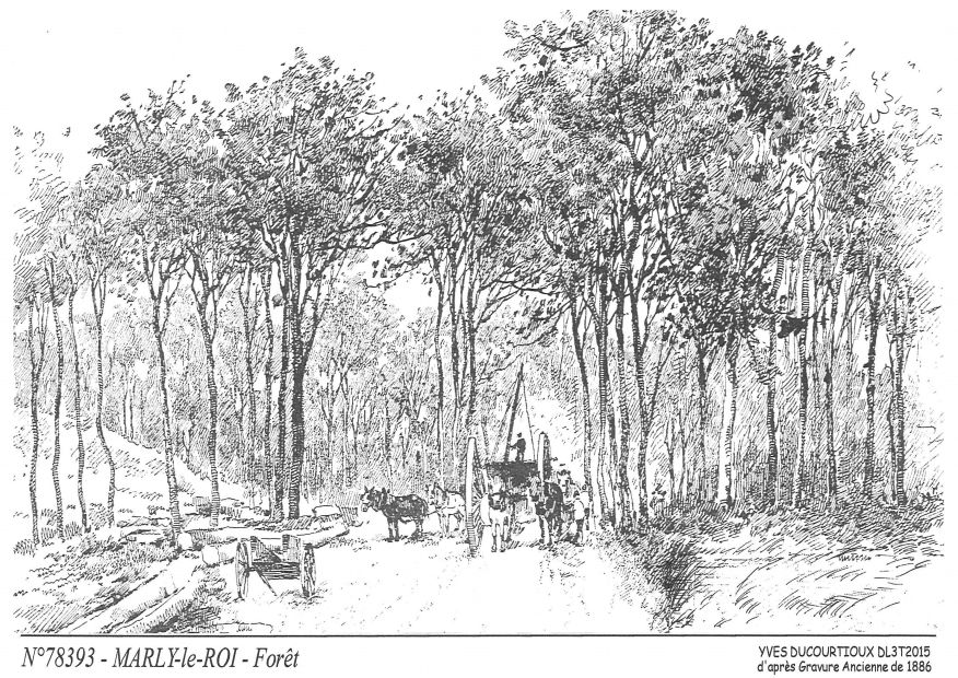 N 78393 - MARLY LE ROI - forêt (d'aprs gravure ancienne)